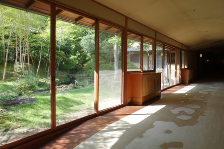 IMGP8216.jpg