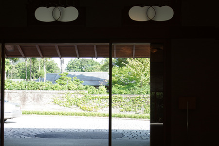 IMGP8221.JPG