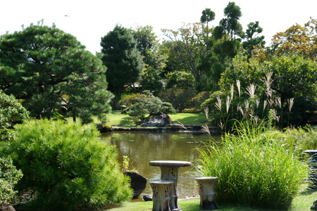 IMGP8234.JPG