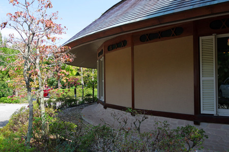 IMGP8305.JPG
