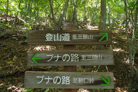 IMGP8550.JPG