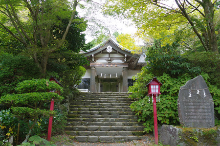 IMGP8755.JPG