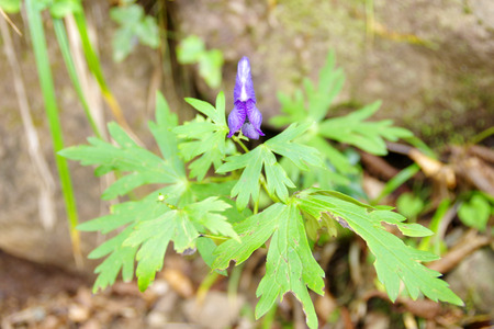 IMGP8804.jpg