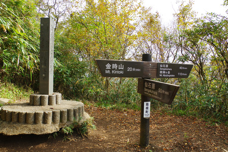 IMGP8822.JPG