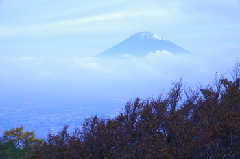 【秋の山歩き】箱根・金時山