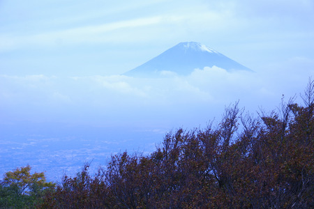 IMGP8838.JPG