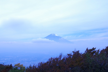 IMGP8874.JPG