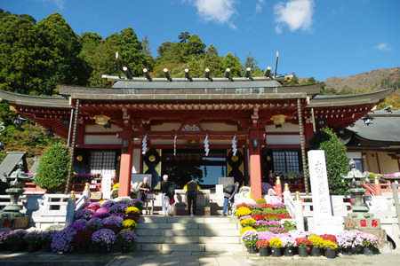 IMGP9149.JPG