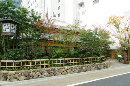 IMGP0105.jpg