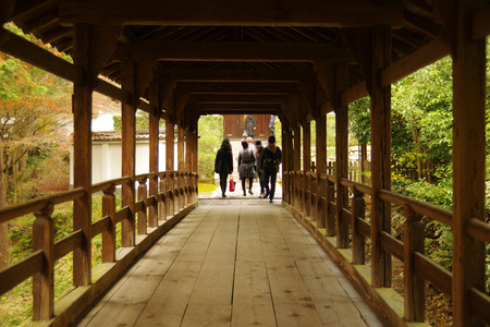 IMGP9711.JPG