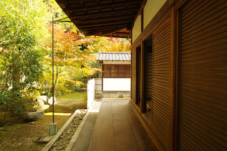 IMGP9729.JPG