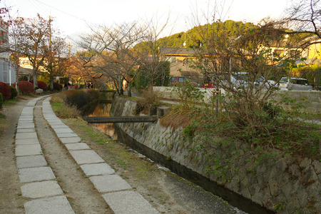 IMGP9771.JPG