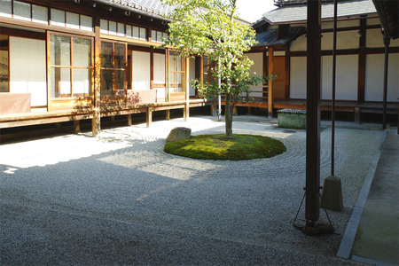 IMGP9881.jpg