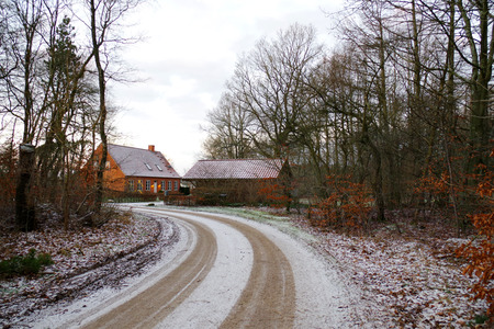 IMGP0533.jpg
