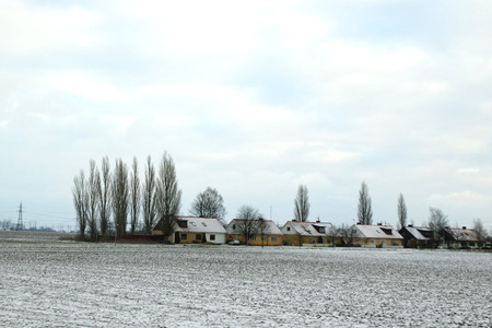IMGP0571.JPG