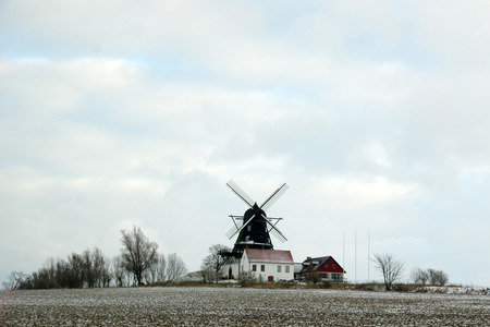 IMGP0572.jpg