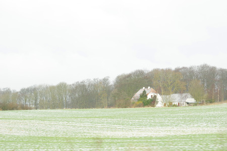 IMGP1494.jpg