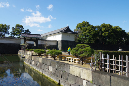 IMGP0938.jpg