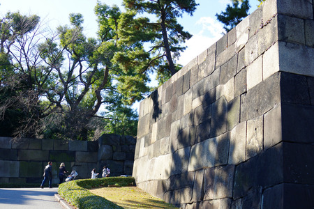 IMGP0960.jpg