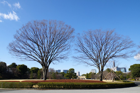 IMGP0963.jpg