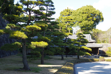 IMGP0971.jpg