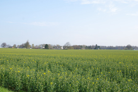 IMGP1277.JPG