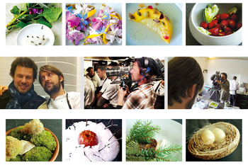 【MOVIE】noma : My Perfect Storm
