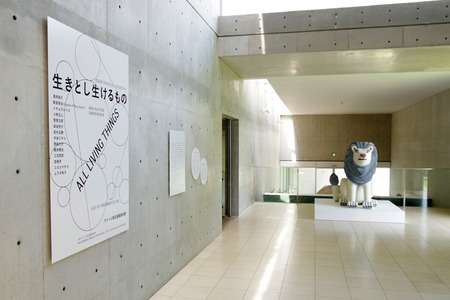 IMGP2848.JPG