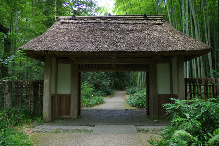 IMGP2948.JPG