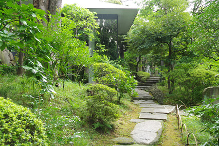IMGP3273.jpg