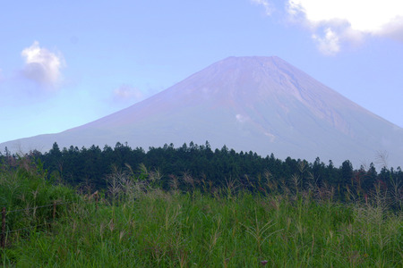 IMGP3439.jpg