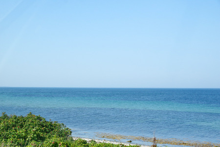 IMGP3537.JPG