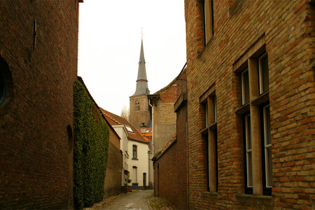 IMGP3674.jpg
