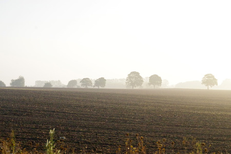 IMGP3749.JPG