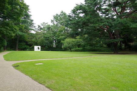IMGP4248.jpg
