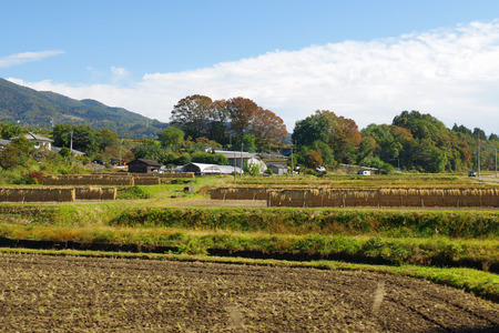 IMGP4537.JPG