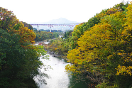 IMGP4564.JPG