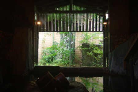 IMGP4875.JPG