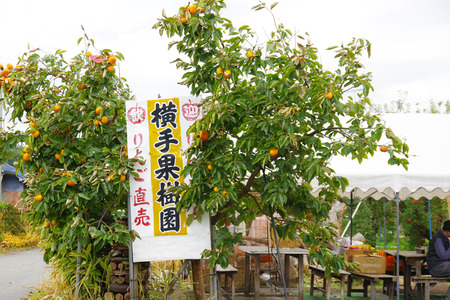 IMGP5083.JPG