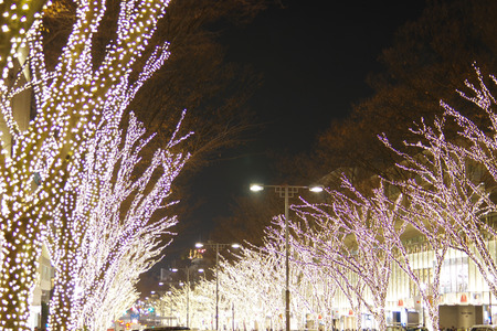 IMGP57522.jpg