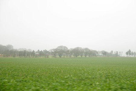 IMGP6002.JPG