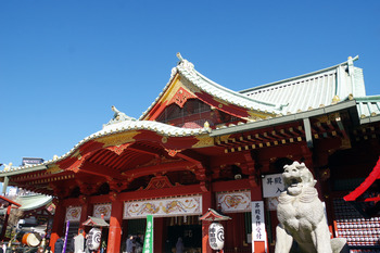 【冬さんぽ】やっとの初詣