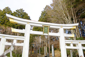 【冬さんぽ】魅力たっぷり奥秩父