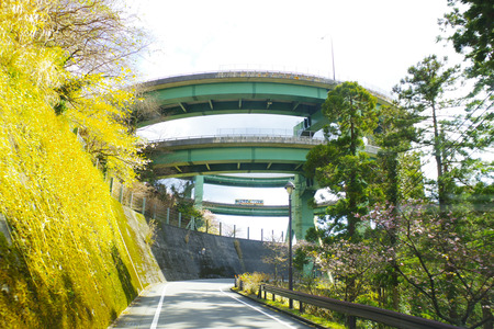 IMGP6687.jpg