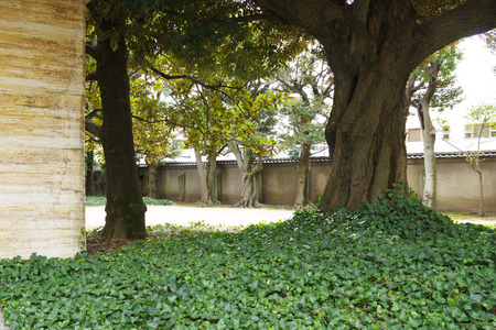 IMGP6790.jpg