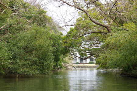 IMGP6895.JPG