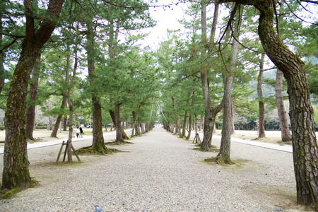 IMGP7060.JPG