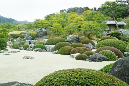 IMGP7198.JPG