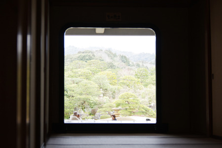 IMGP7218.JPG