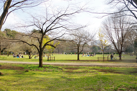 IMGP7604.jpg